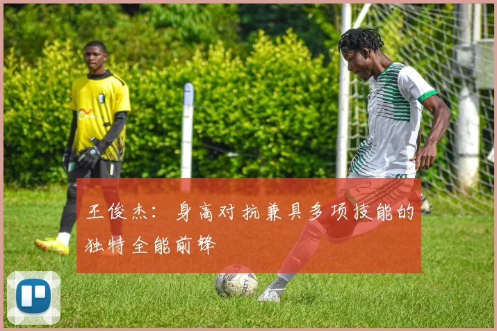 王俊杰：身高对抗兼具多项技能的独特全能前锋